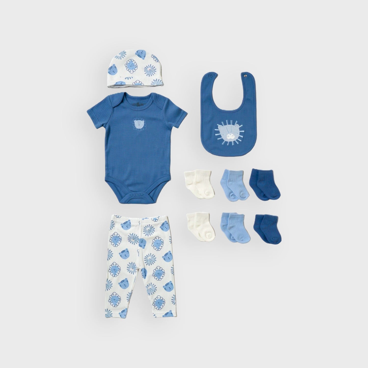 Lion 10 Piece Gift Set