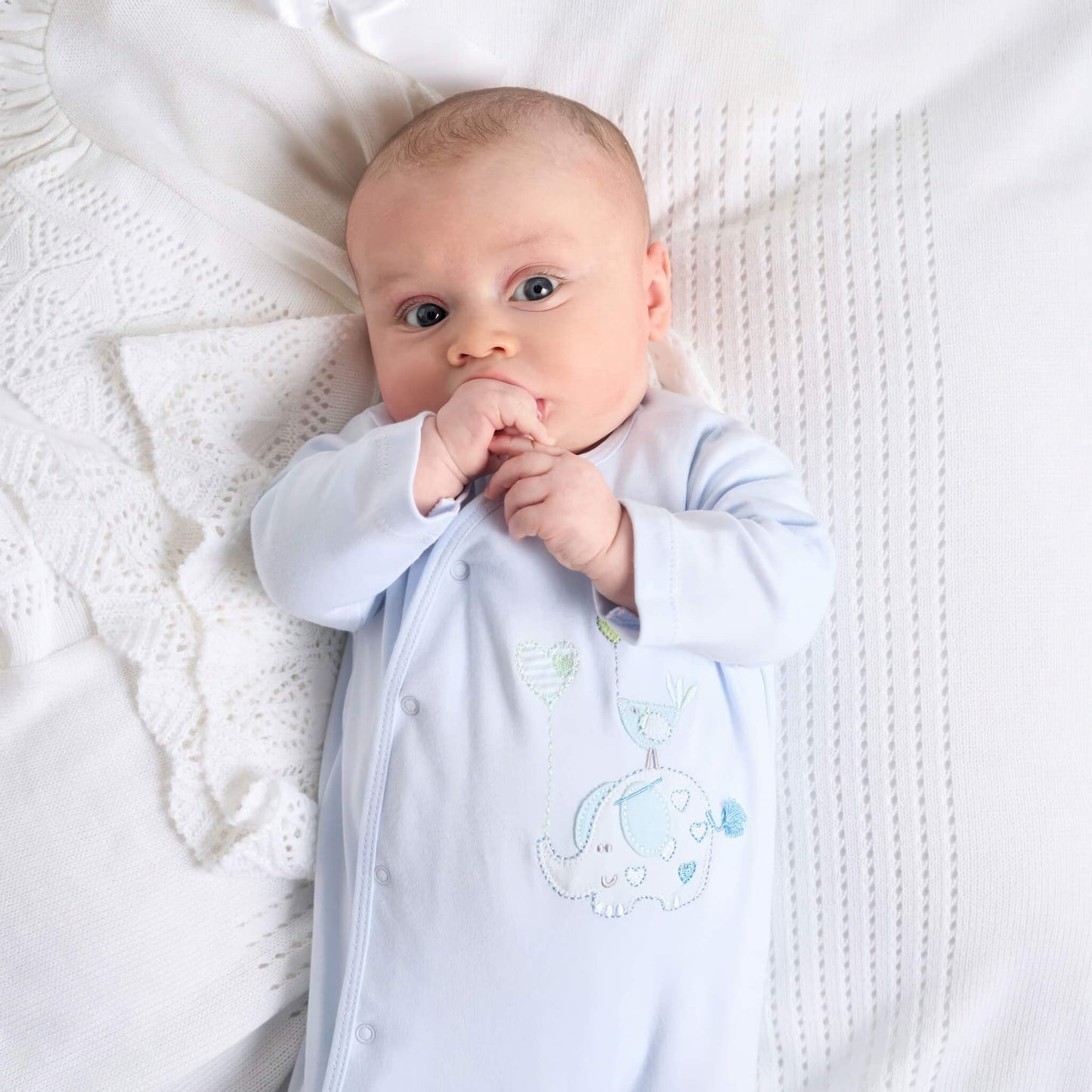 Blue Elephant & Bird Cotton Sleepsuit